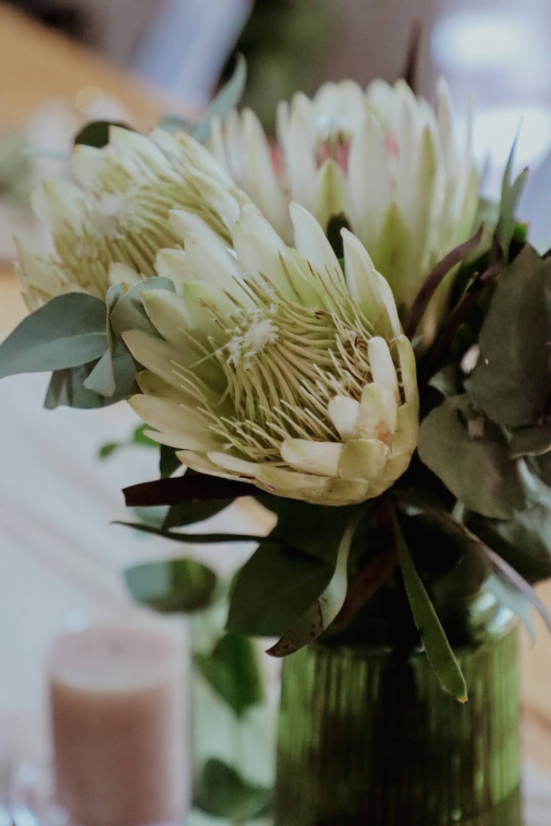 Venue Oaón Gallery Image