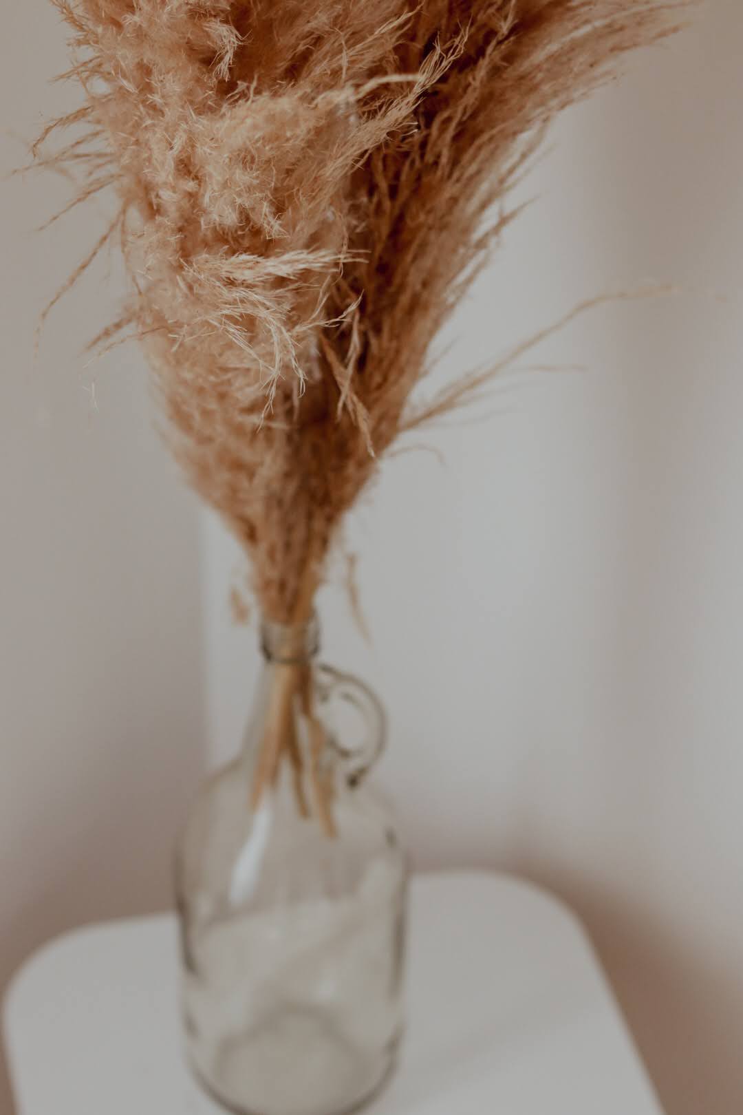 Venue Oaón Gallery Image