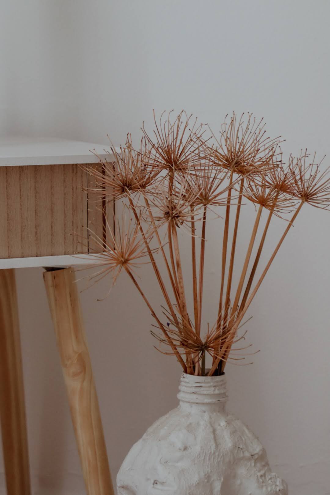 Venue Oaón Gallery Image