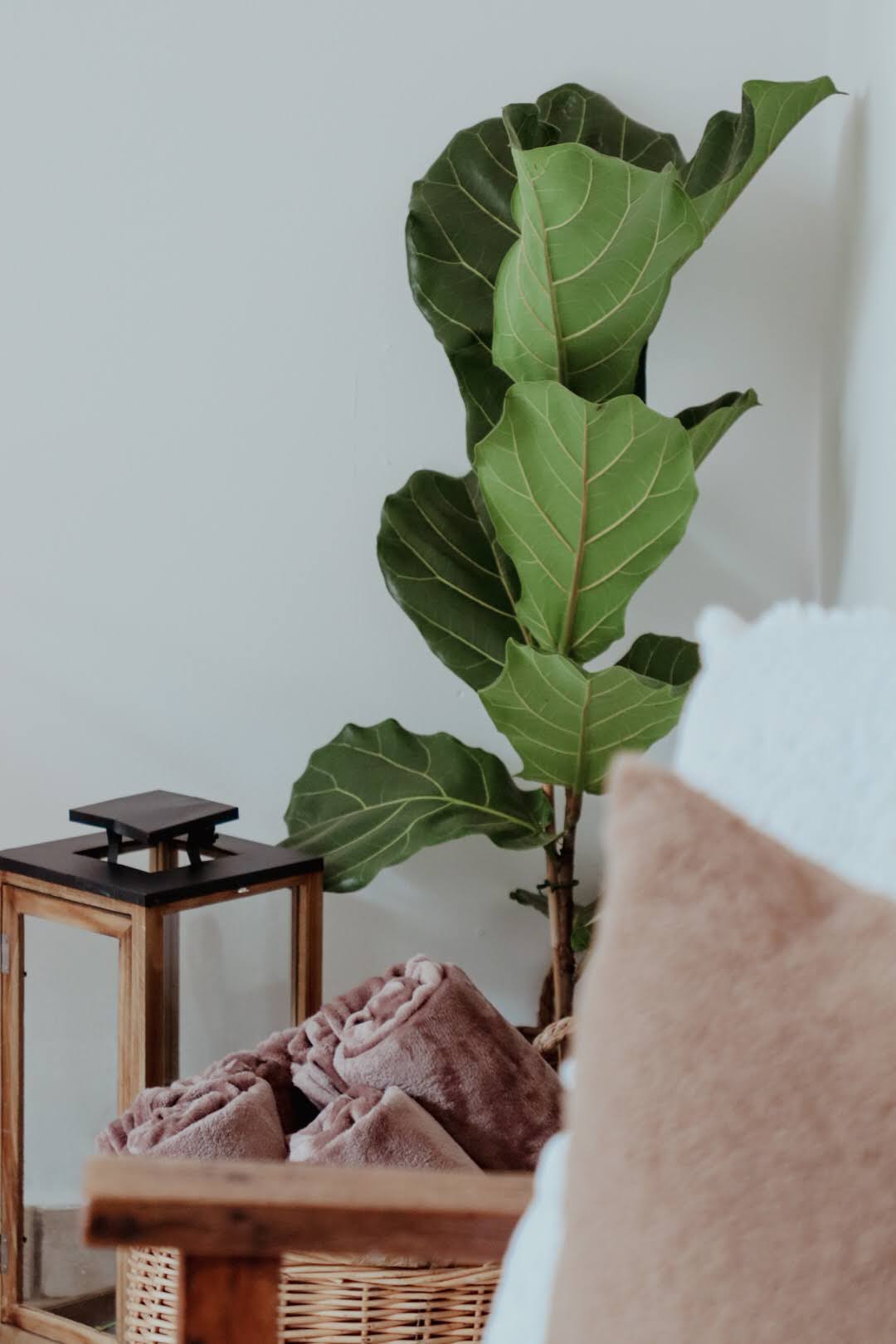 Venue Oaón Gallery Image