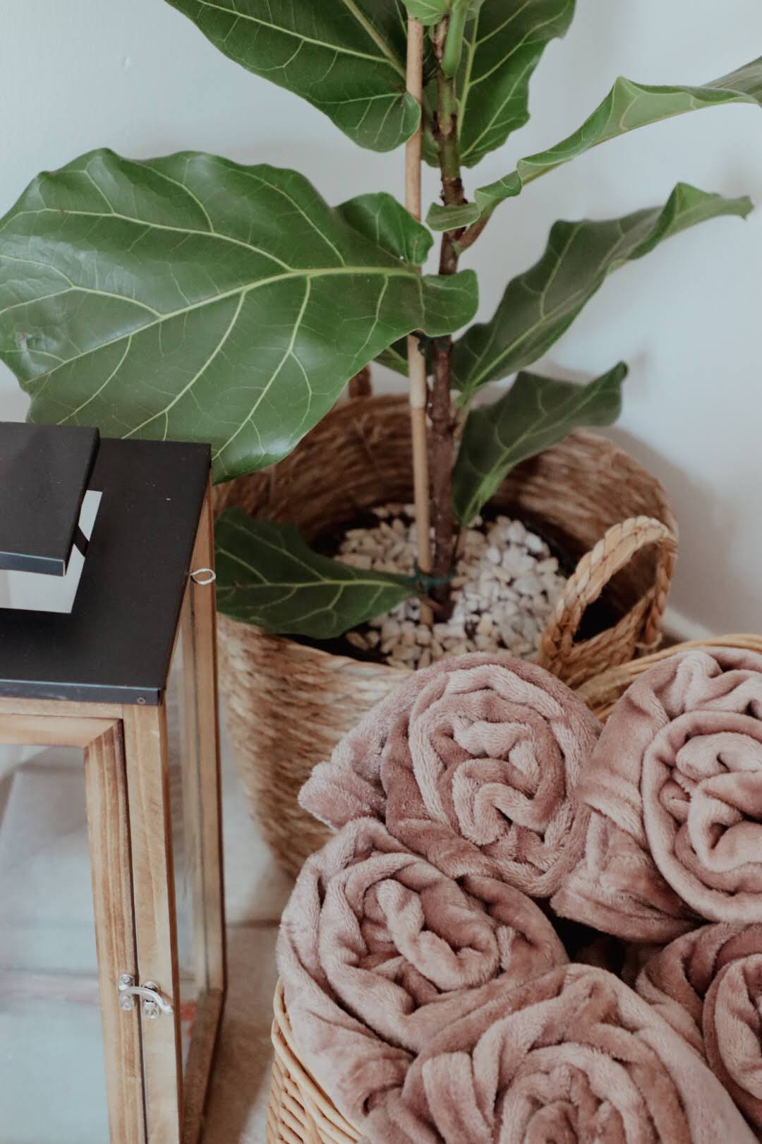 Venue Oaón Gallery Image